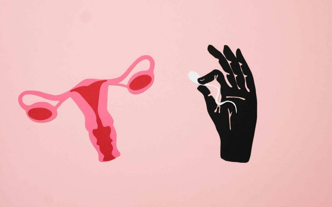 Everything You Need To Know About Artificial Insemination
