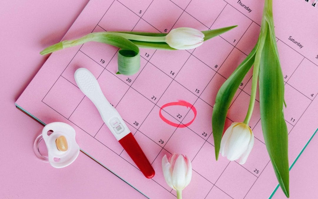 The Ovulation Calendar -Simple, Quick and Safe